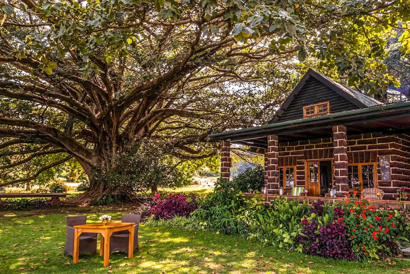 Loldia House 